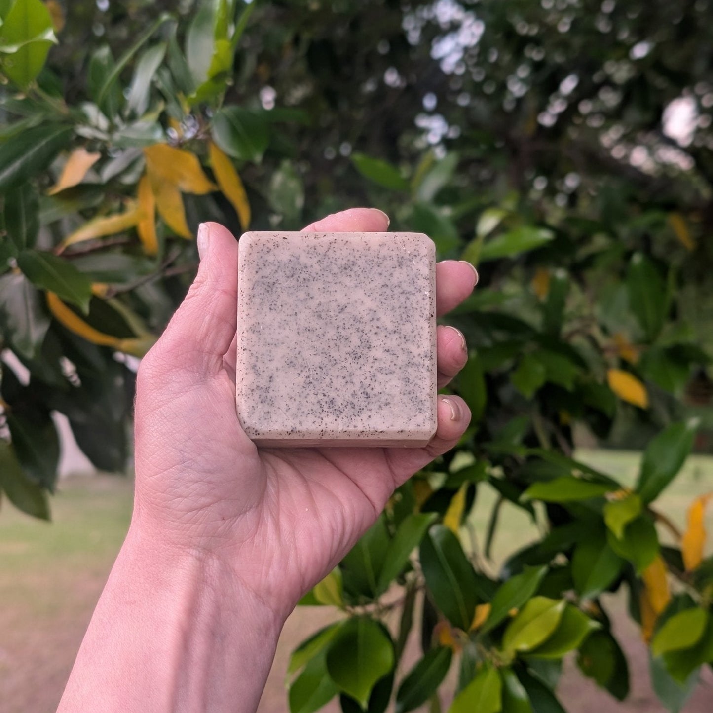 Coffee & Cocoa - Exfoliation Bar - Wild Root Remedies