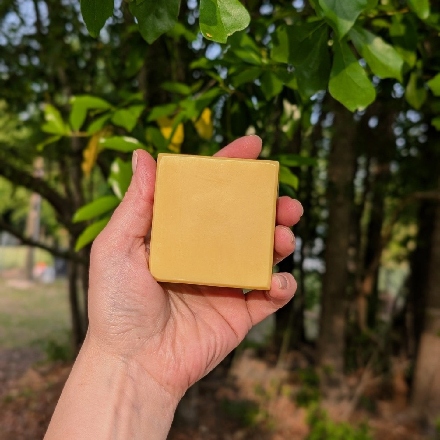 Licorice & Turmeric - Correction Bar - Wild Root Remedies