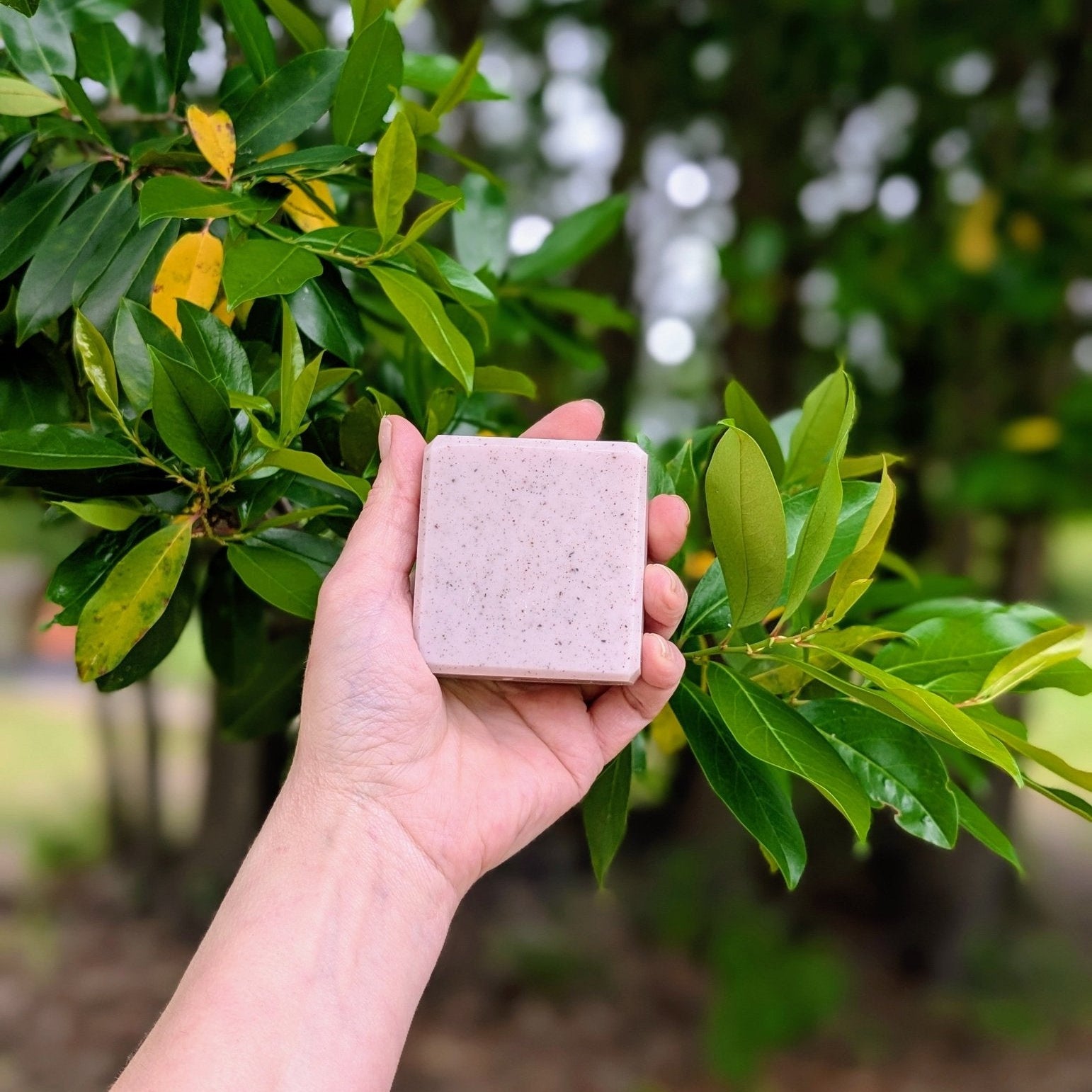 Lavender & Clay - Relaxation Bar - Wild Root Remedies